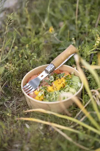 Opinel Picnic Set